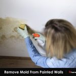 Remove Mold From Painted Walls